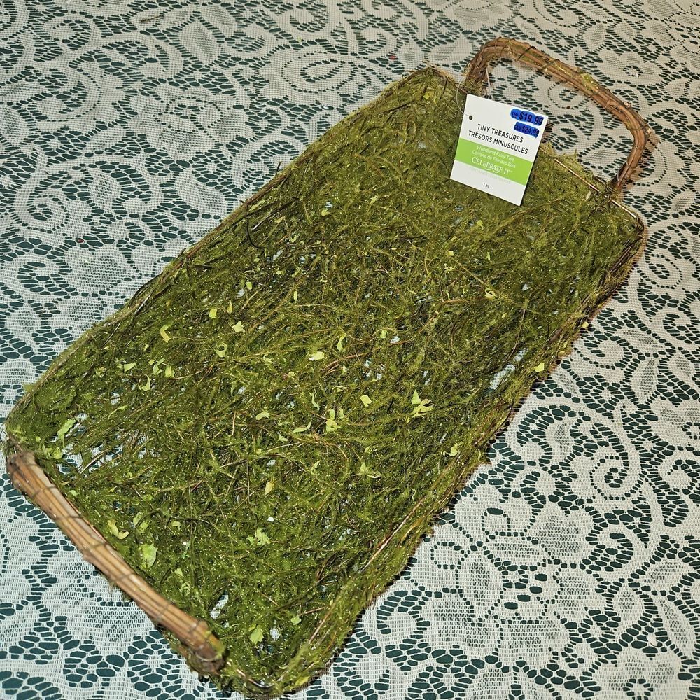 Celebrate It "Tiny Treasures" Decorative Moss Basket